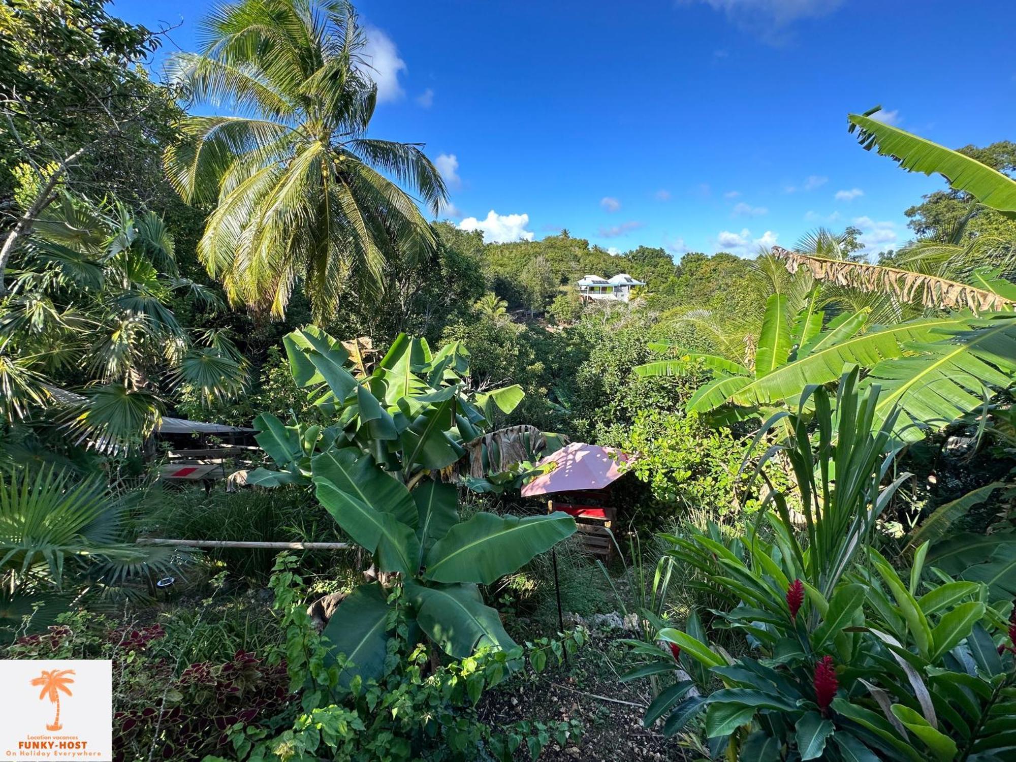 Ti Kaz Funky Host -T3 Vue Mer Premium 3 Etoiles - Village Vacances Sainte Anne Guadeloupe Exteriér fotografie